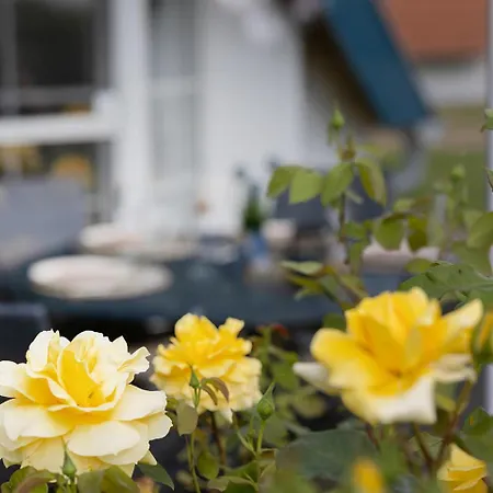 Ferienhaus Medemsand 18