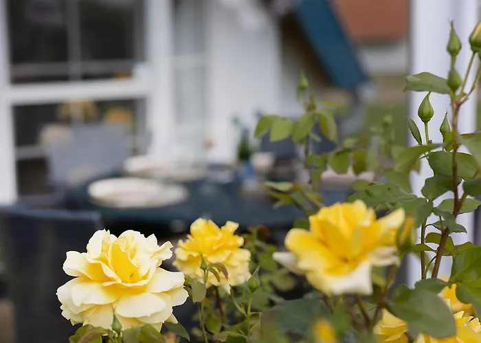 بيت للعطل Medemsand 18